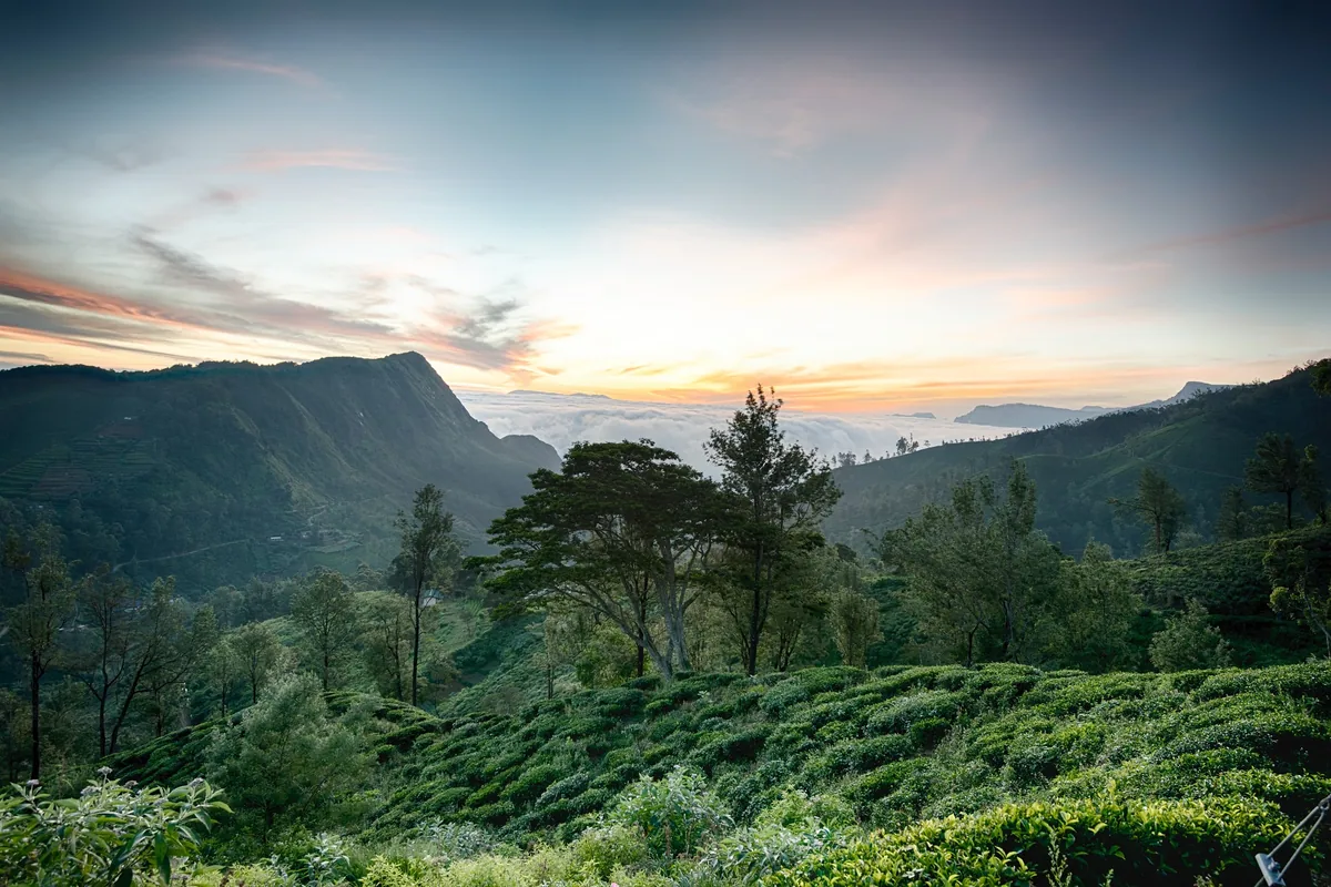 10 Day Grand Sri Lanka Private Tour
