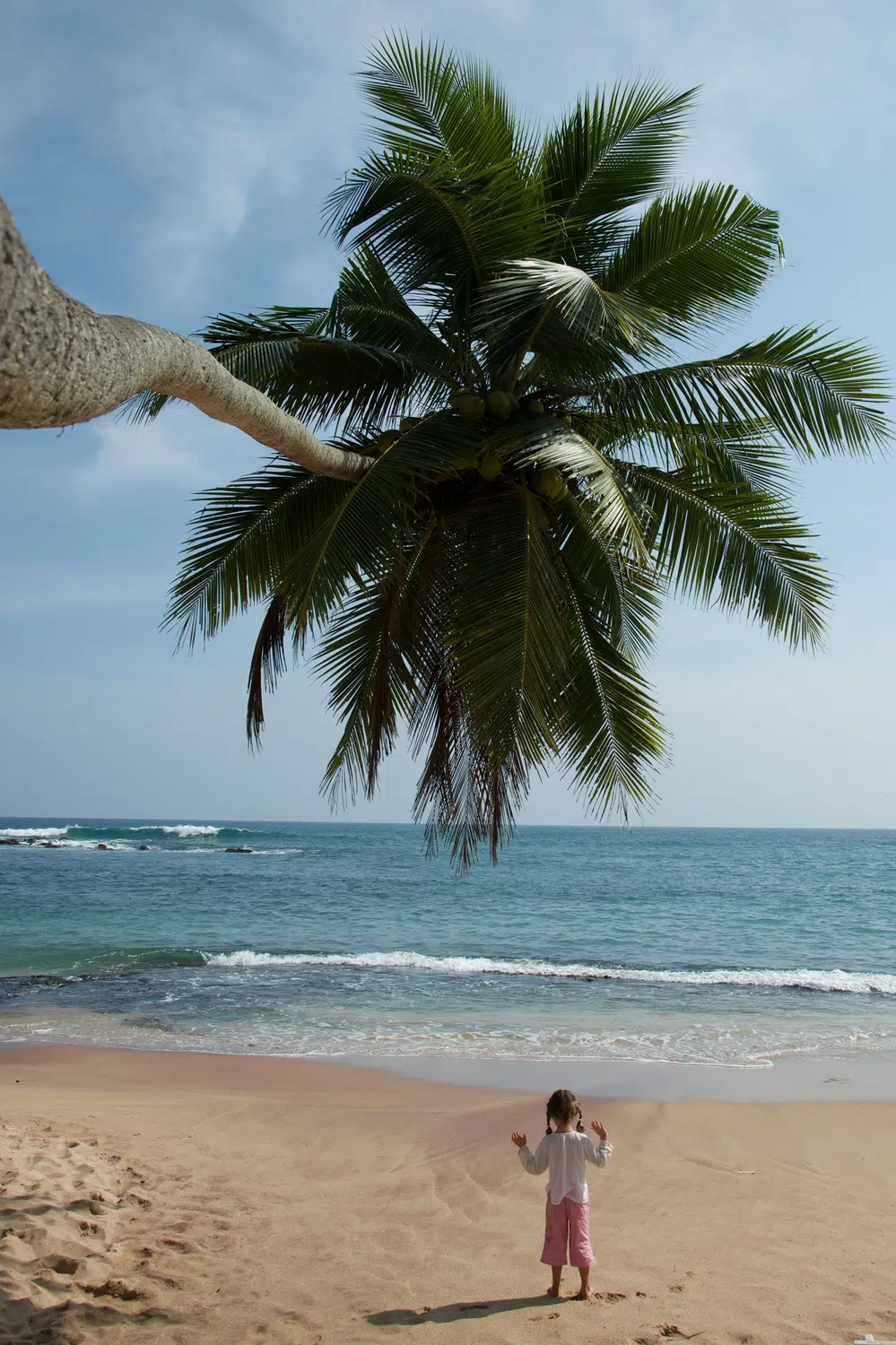 Palm-fringed Sri Lanka beach and coastal scenery for Sri Lanka private day tour with Trustker