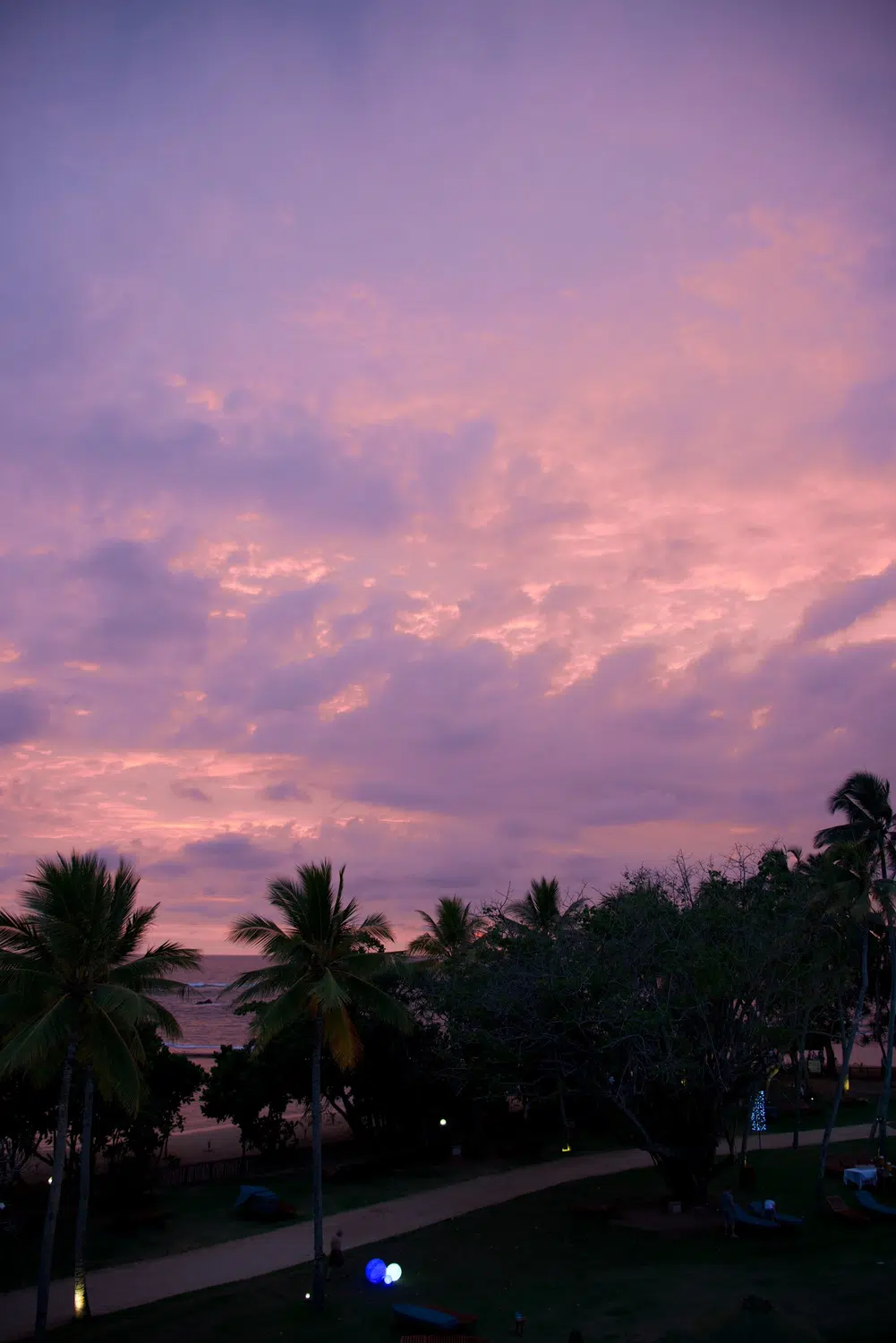 Palm-fringed Sri Lanka beach and coastal scenery for Sri Lanka private day tour with Trustker