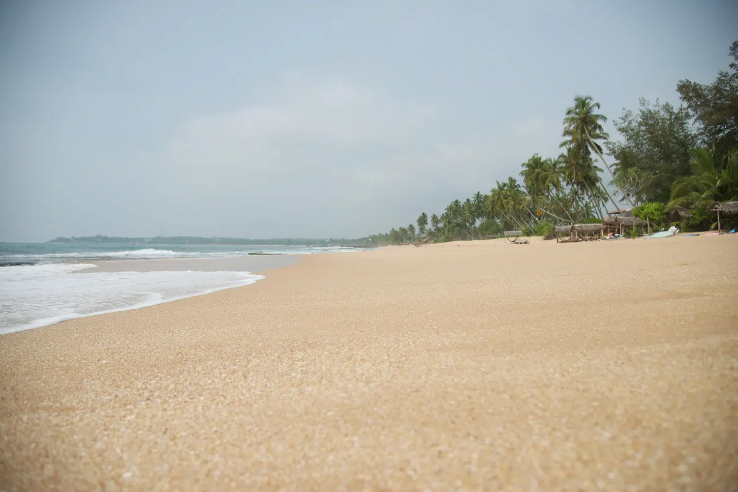 Sri Lanka palm-fringed beach and coastal scenery for Surf, Safari and East Coast