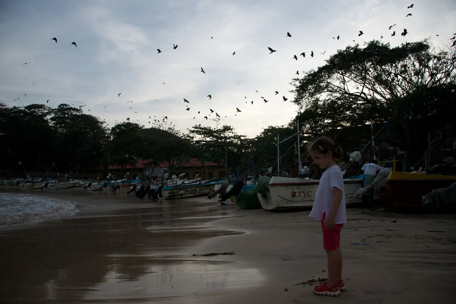 Palm-fringed Sri Lanka beach and coastal scenery for Sri Lanka private day tour with Trustker
