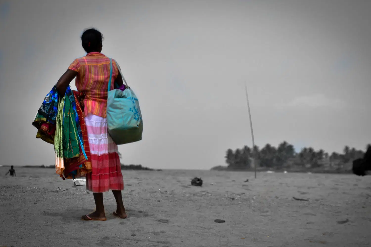 Palm-fringed Sri Lanka beach and coastal scenery for Sri Lanka private day tour with Trustker