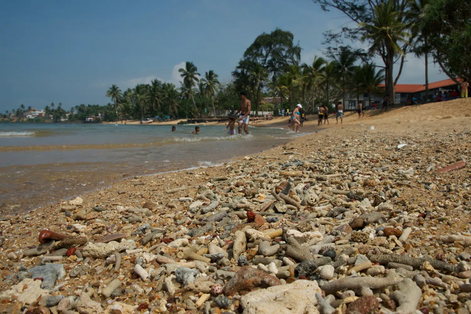 Palm-fringed Sri Lanka beach and coastal scenery for Sri Lanka private day tour with Trustker