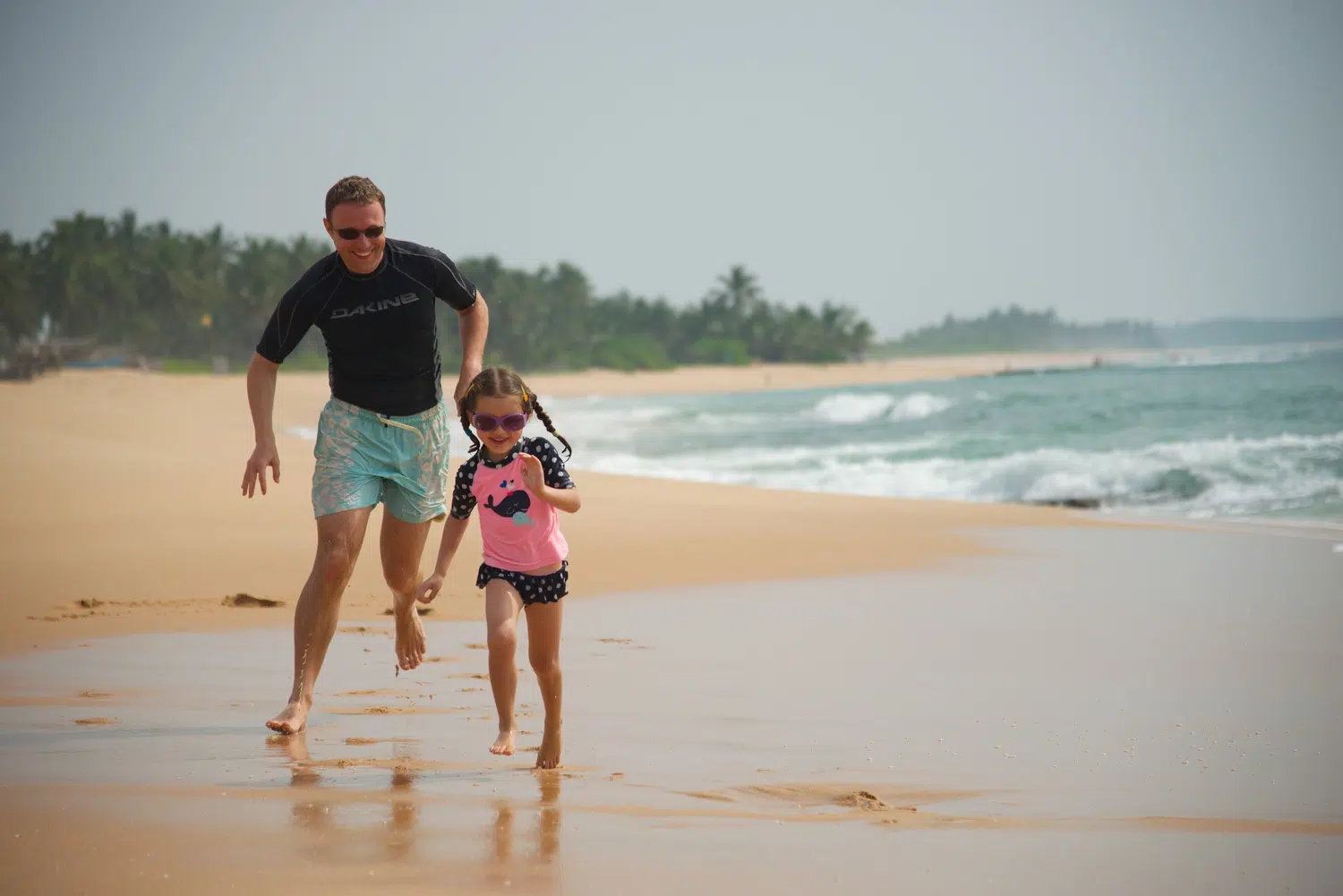 Palm-fringed Sri Lanka beach and coastal scenery for Sri Lanka private day tour with Trustker