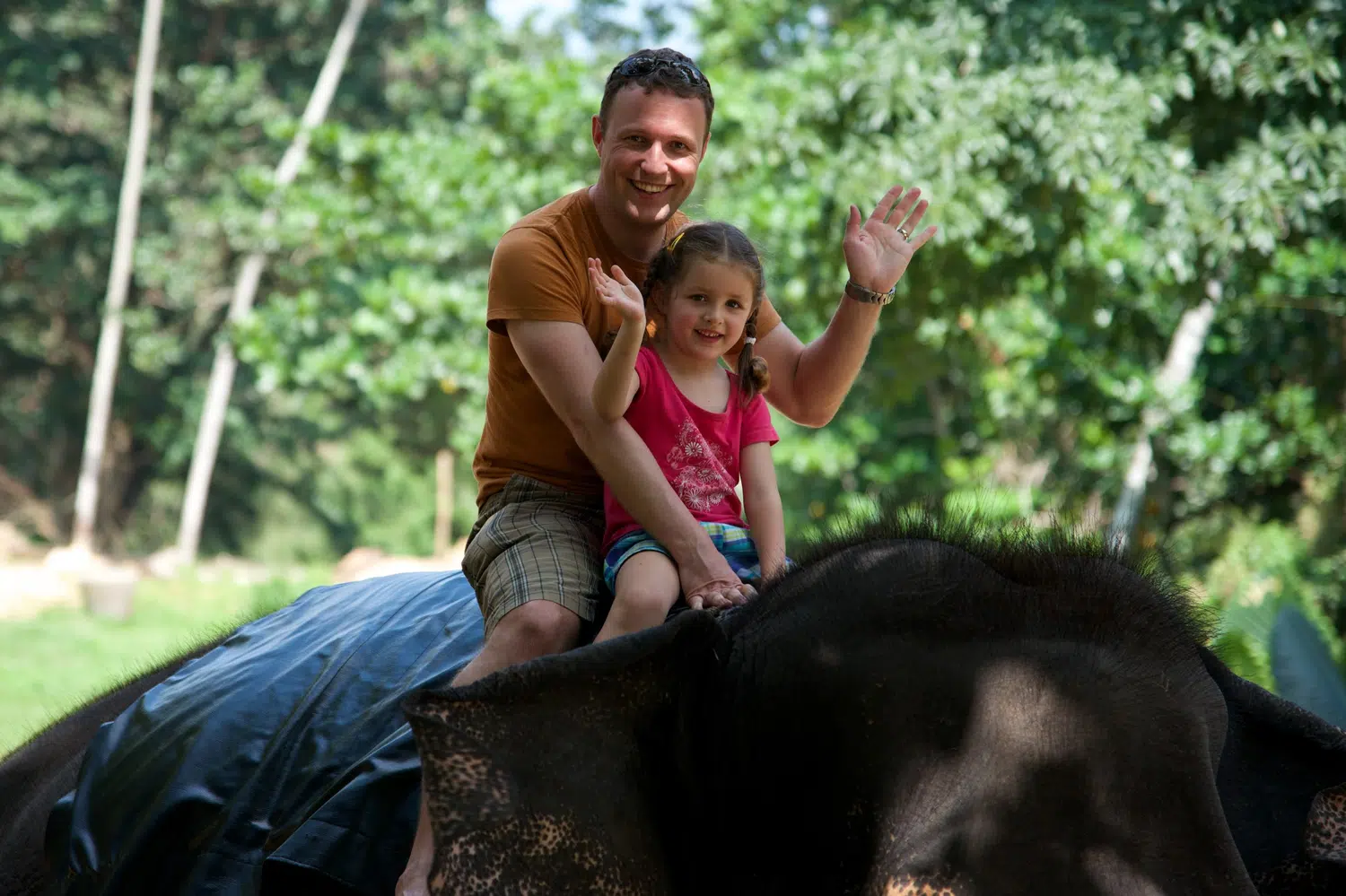 Elephants bathing and elephant encounter activities for Sri Lanka private day tour with Trustker