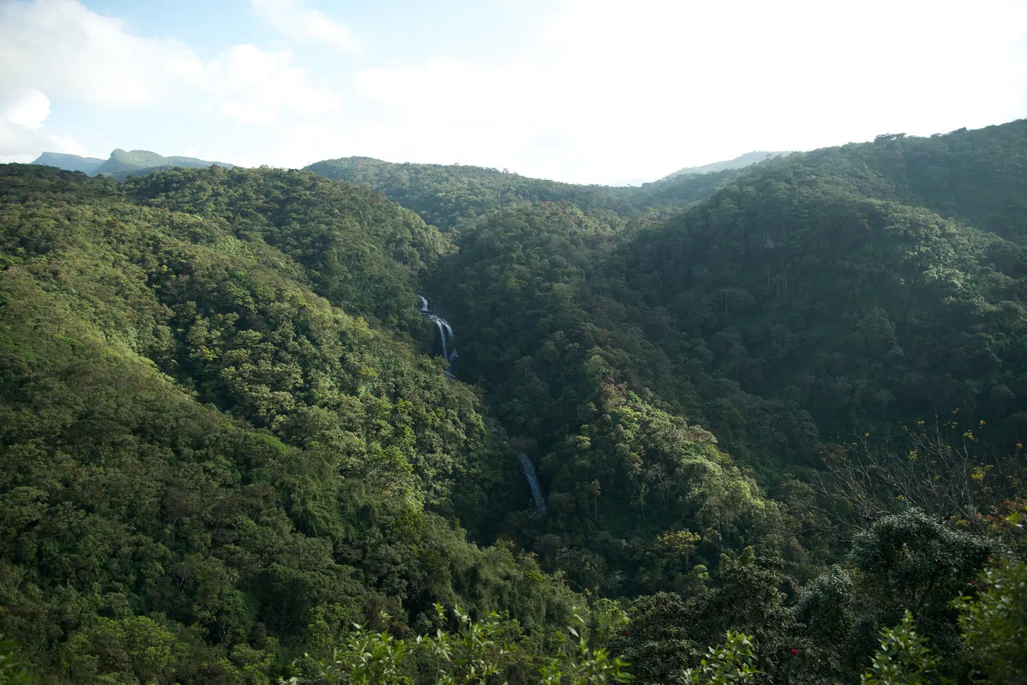 Hill country scenery, misty mountains, flowers and waterfalls for Sri Lanka private day tour with Trustker