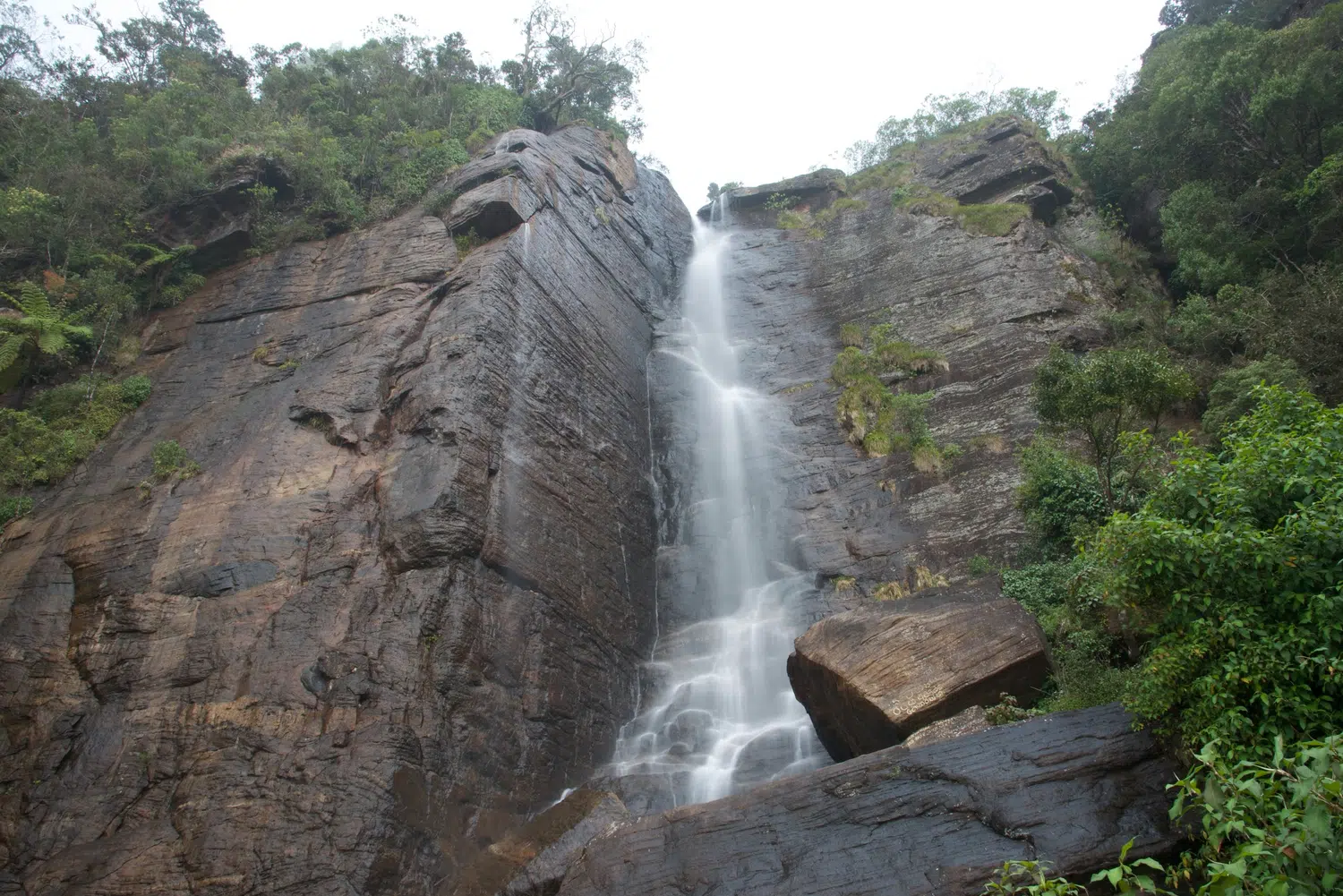 Hill country scenery, misty mountains, flowers and waterfalls for Sri Lanka private day tour with Trustker