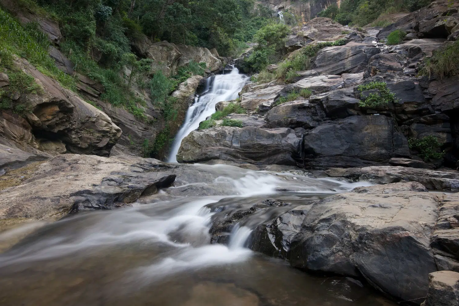 Hill country scenery, misty mountains, flowers and waterfalls for Sri Lanka private day tour with Trustker