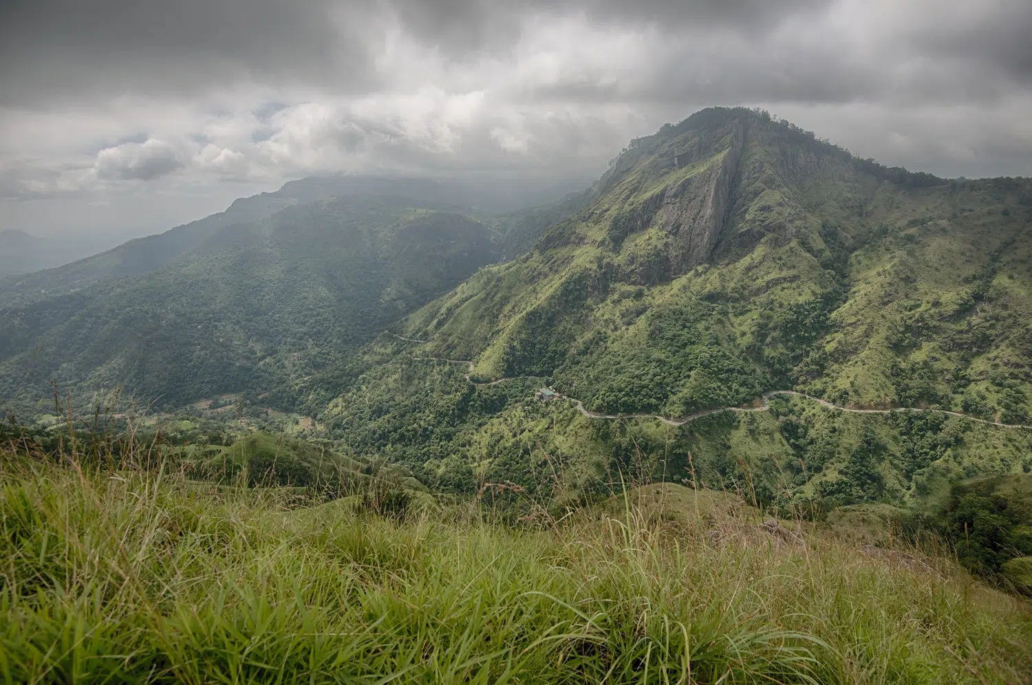 Hill country scenery, misty mountains, flowers and waterfalls for Sri Lanka private day tour with Trustker