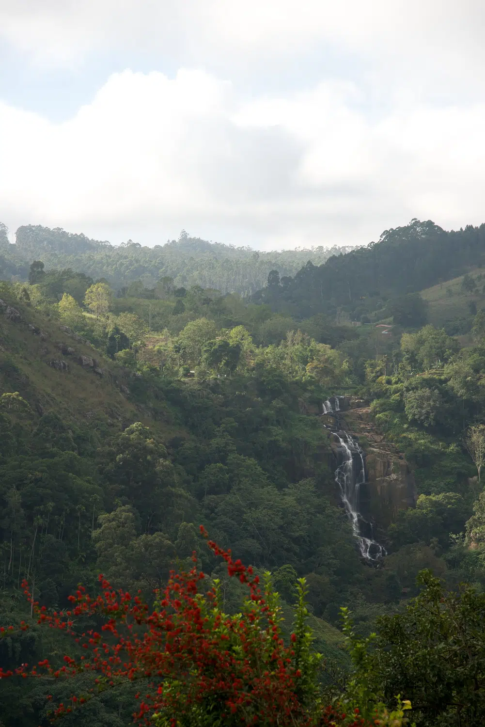Hill country scenery, misty mountains, flowers and waterfalls for Sri Lanka private day tour with Trustker