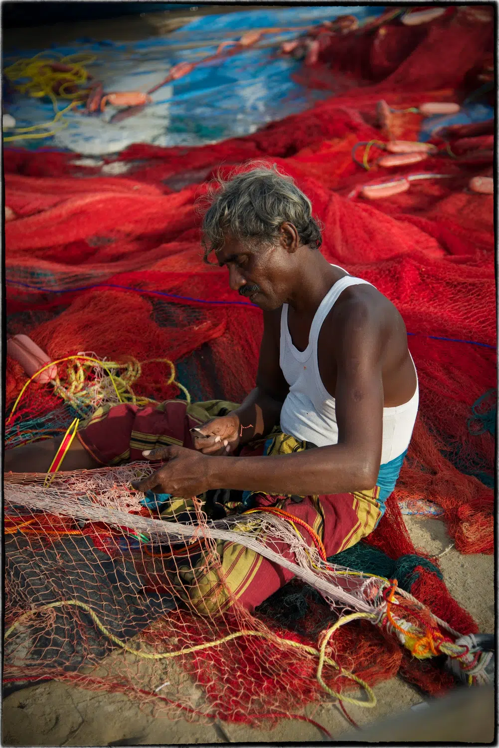 Fishing boats, fish markets and coastal working life for Sri Lanka private day tour with Trustker