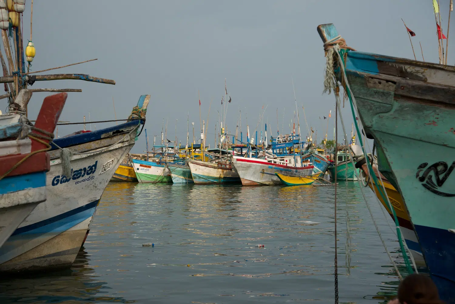 Fishing boats, fish markets and coastal working life for Sri Lanka private day tour with Trustker