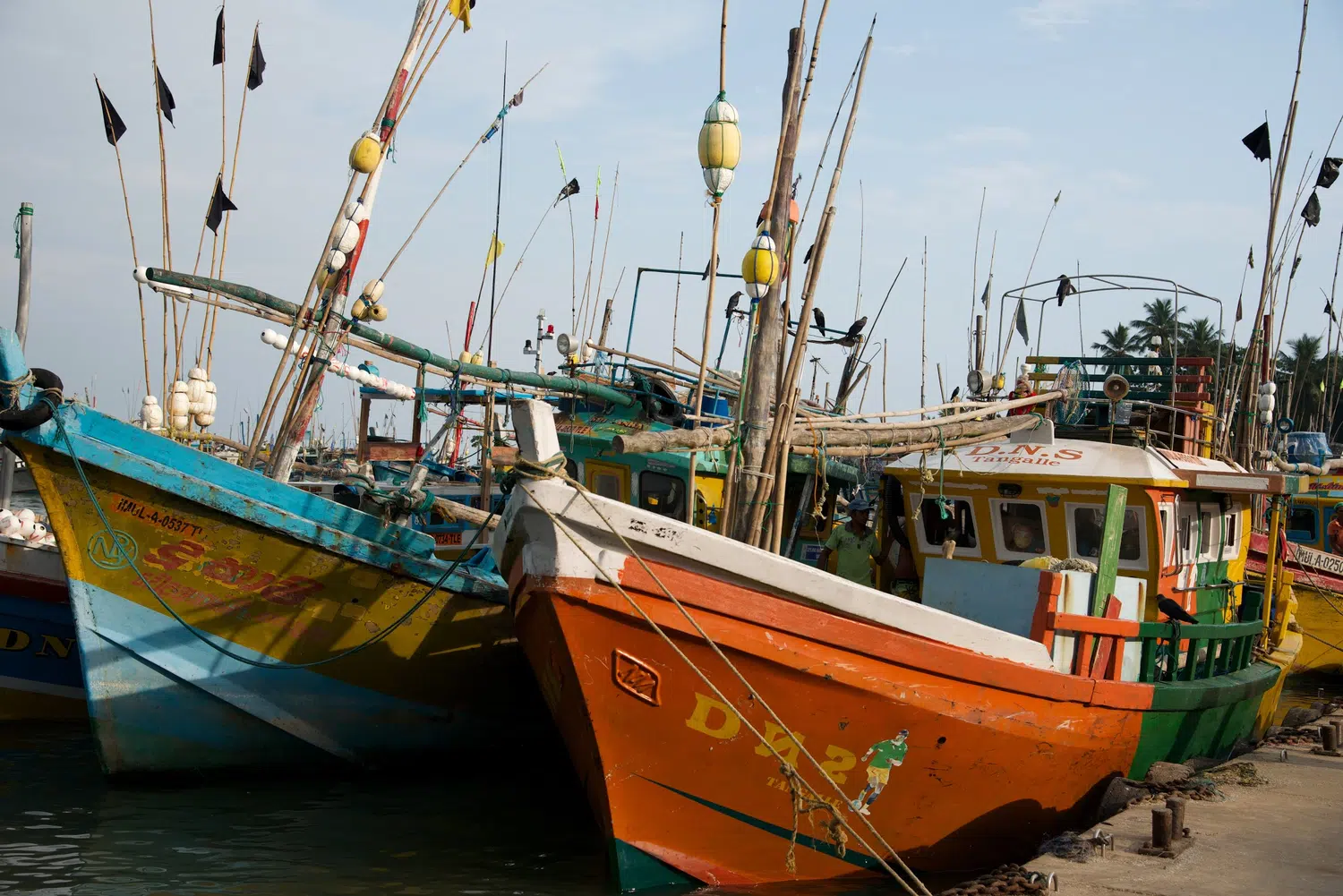 Fishing boats, fish markets and coastal working life for Sri Lanka private day tour with Trustker