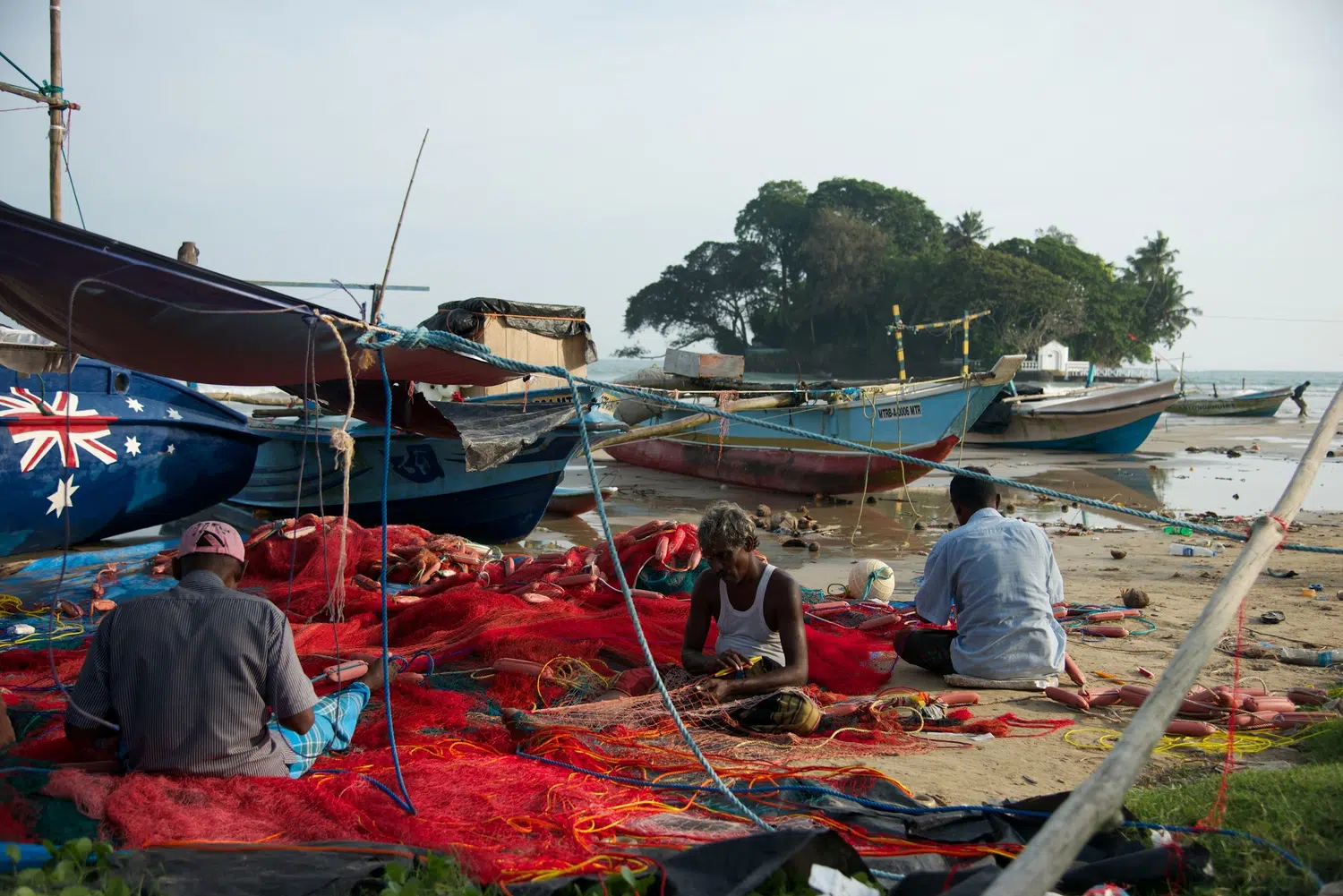 Fishing boats, fish markets and coastal working life for Sri Lanka private day tour with Trustker