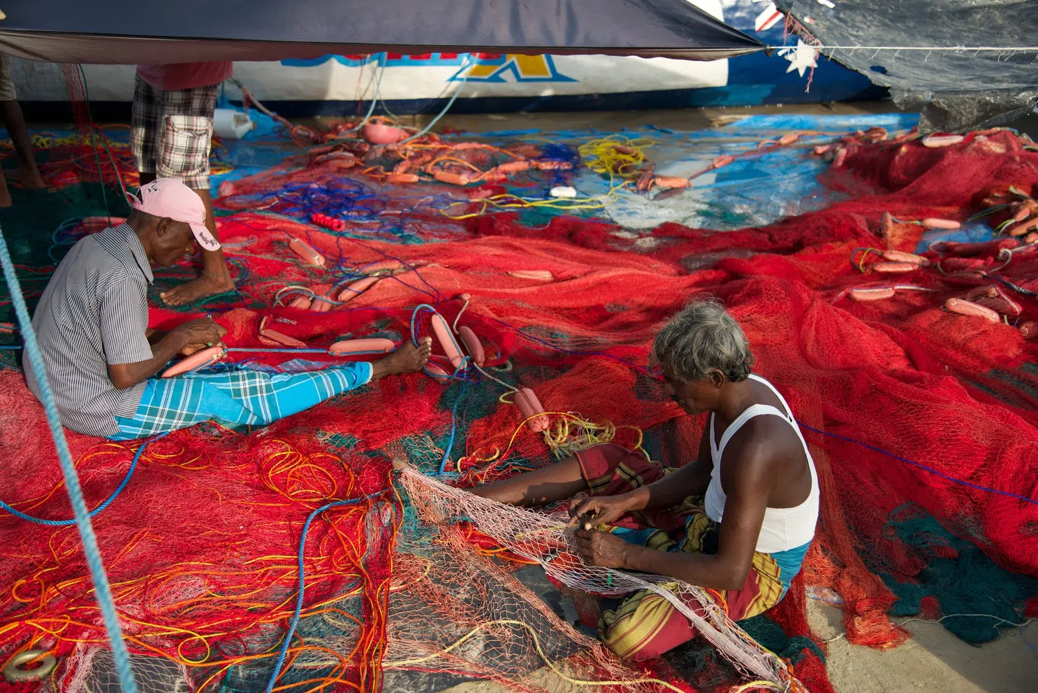 Fishing boats, fish markets and coastal working life for Sri Lanka private day tour with Trustker