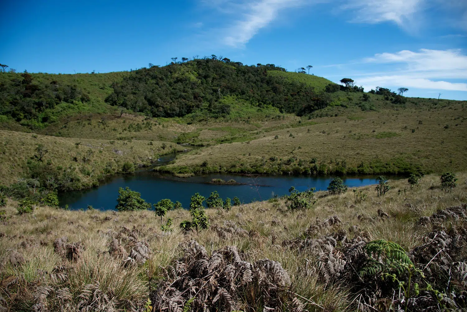 Hill country mountain views, waterfalls and hiking landscapes for Sri Lanka private day tour with Trustker