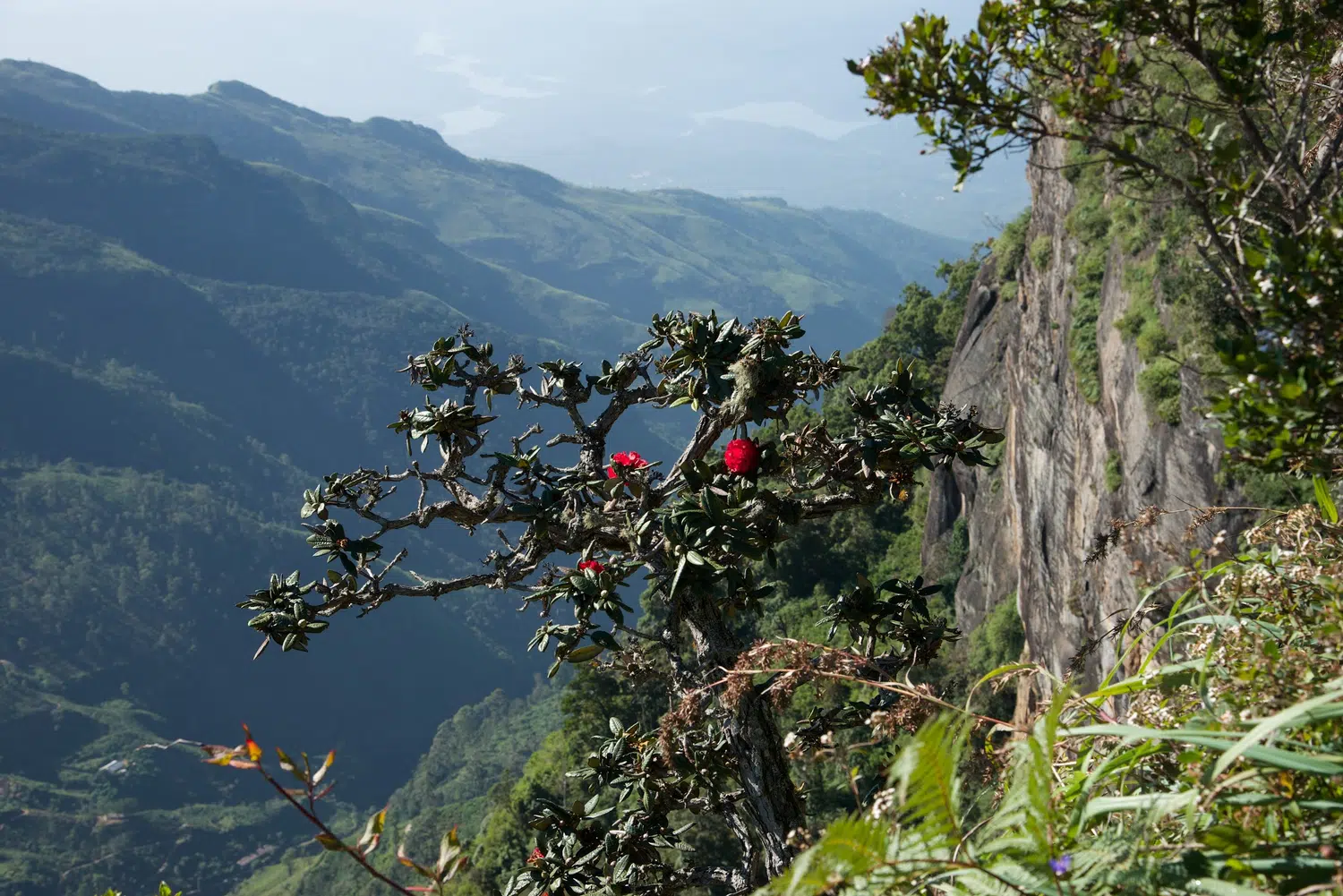Hill country mountain views, waterfalls and hiking landscapes for Sri Lanka private day tour with Trustker
