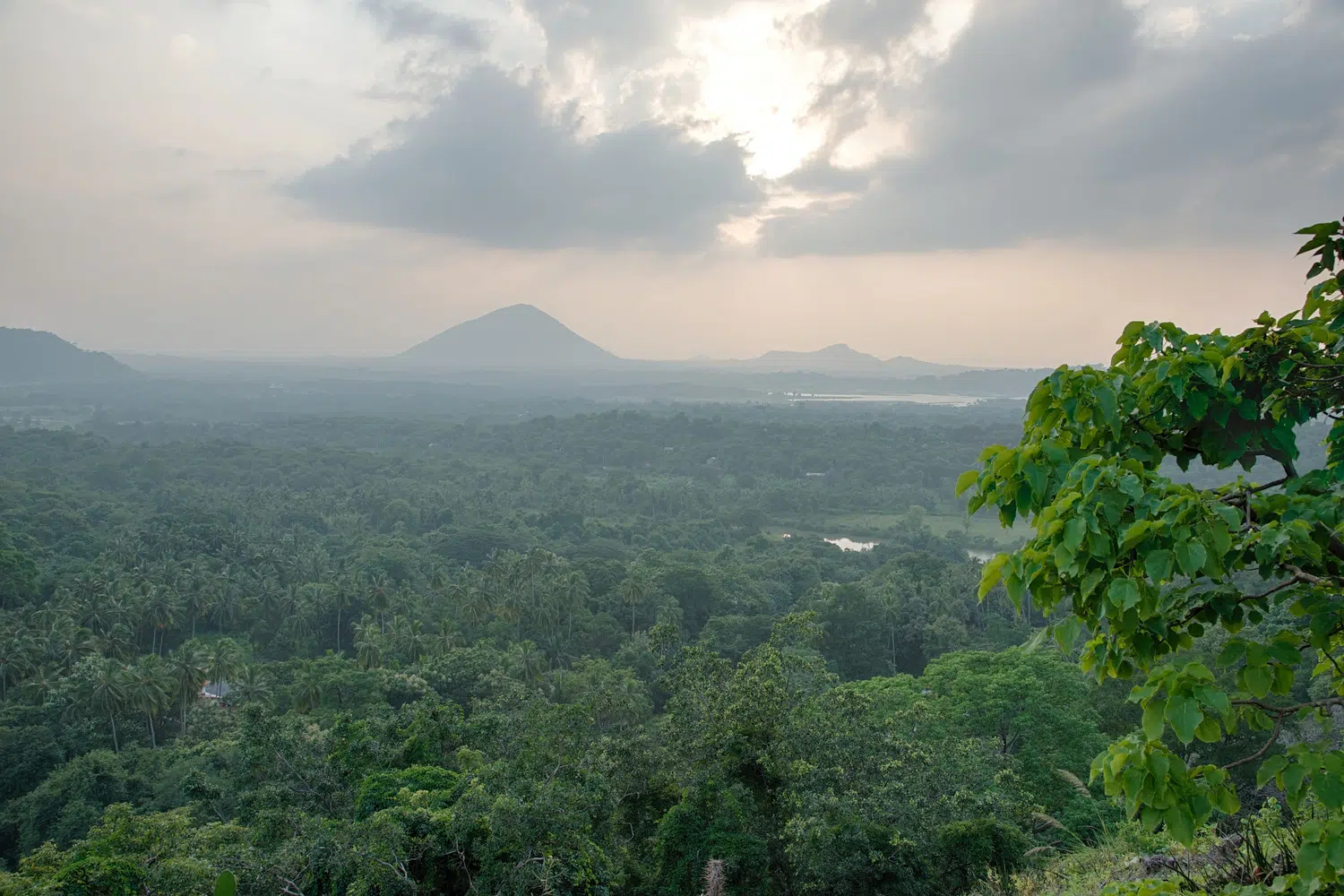 Kandy area temples, musicians, landscapes and sacred sites for Sri Lanka private day tour with Trustker