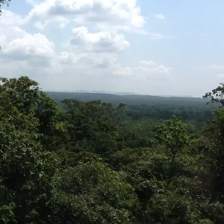 Sri Lanka green nature viewpoint for Pekoe Trail Adventure