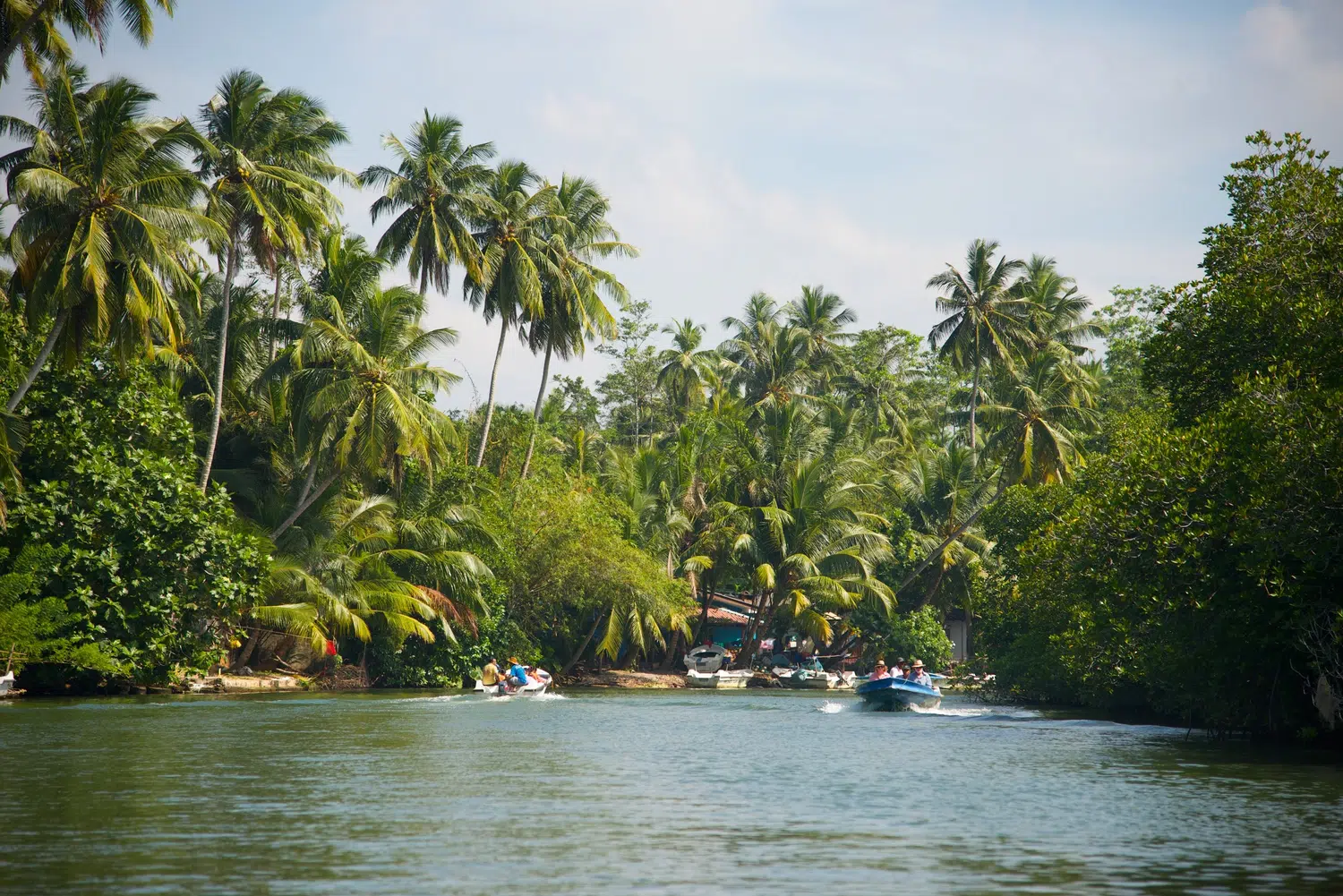 Mangrove lagoon, river boat safari and water birds for Sri Lanka private day tour with Trustker