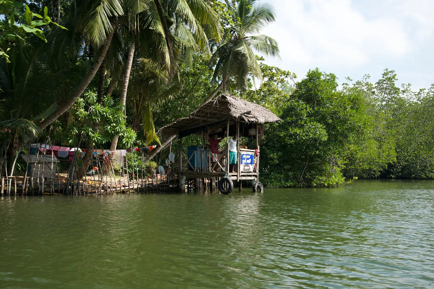 Mangrove lagoon, river boat safari and water birds for Sri Lanka private day tour with Trustker