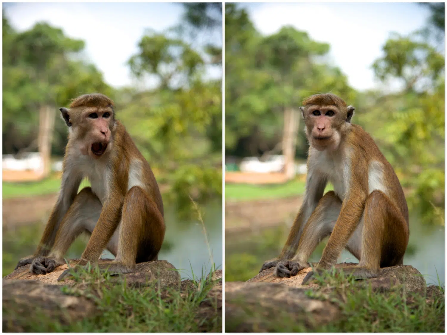 Sigiriya and Sri Lanka Cultural Triangle scenery for Muslim-Friendly Beach Holiday