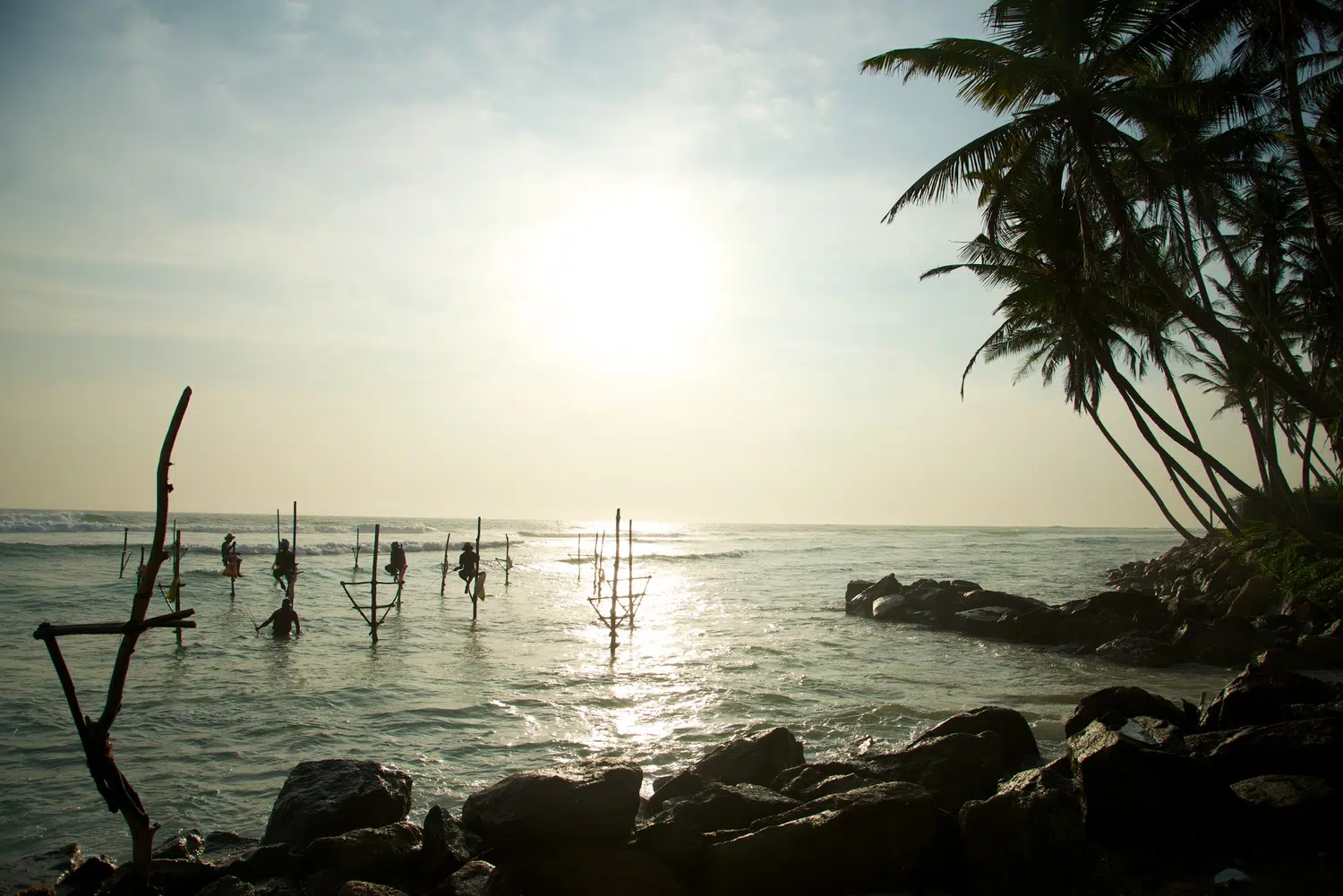 Sri Lanka traditional stilt fishermen for Bentota Family Beach Holiday