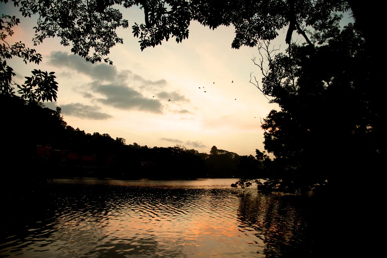 Temple of the Sacred Tooth Relic in Kandy for Complete Sri Lanka Discovery