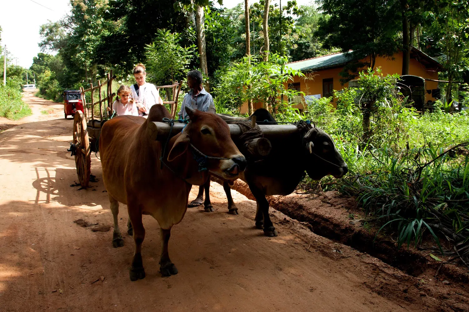 Sri Lanka village and rural nature scenery for Heritage without the Rush