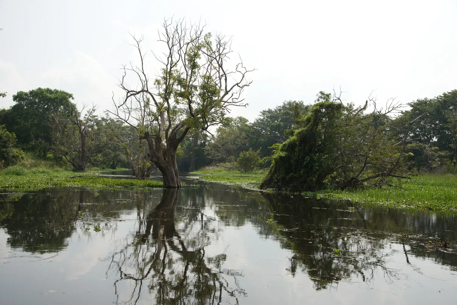 Sri Lanka village and rural nature scenery for Extended Ayurveda and Relaxation
